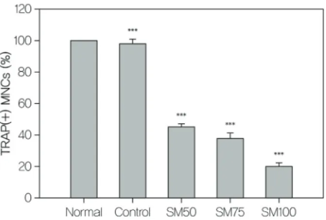 Fig.  2.  Effects  of  SM  on  MMP-9  gene  expression  in  osteoclast.