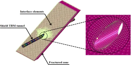 Fig. 5. Implementation of interface elements over the fractured zone 