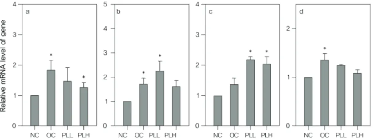 Fig.  3  Effect  of  PLE  on  the  HMG-CoA-R(a),  CYPB1(b),  CYT27(c),  SREBP1c(d)  gene  expression  in  liver  tissue  of  rat  with  estrogen  deficiency