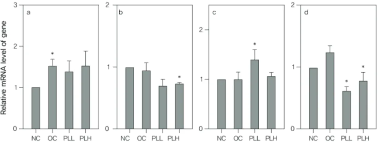 Fig.  4  Effect  of  PLE  on  the  LPL(a),  ACAT1(b)m  ACAT2(c),  APoB(d)  gene  expression  in  liver  tissue  of  rat  with  estrogen  deficiency