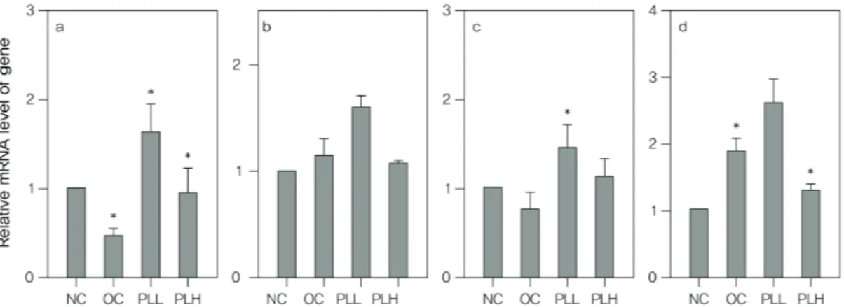 Fig.  5  Effect  of  PLE  on  the  CPT1(a),  ACOX(b),  LDLR(c),  SCD1(d)  gene  expression  in  liver  tissue  of  rat  with  estrogen  deficiency