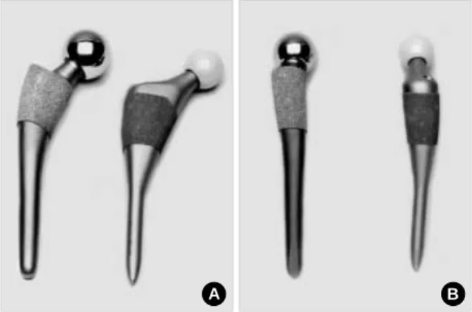 Fig. 3. Boundary conditions at the distal tip of the cortex.