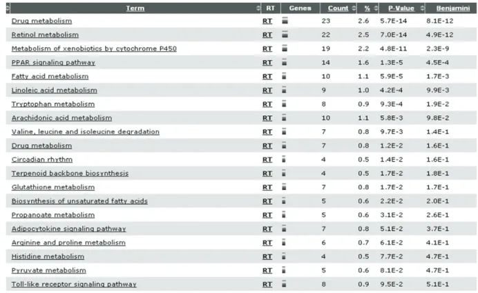 Table  5.  Pathway  Analysis  of  Over/Under  Expressed  Genes  by  High-fat  Diet