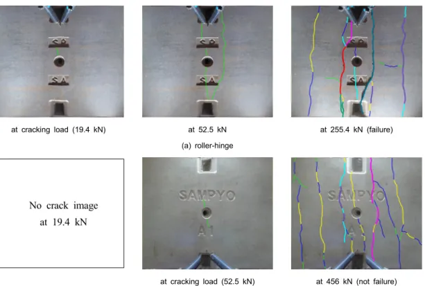 Fig. 9. Crack pattern by image process