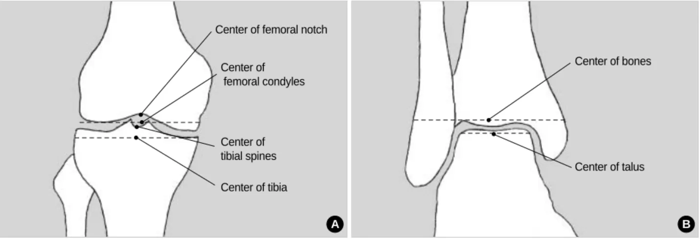 Fig. 1. Drawing showing points used to determine the center of the knee.