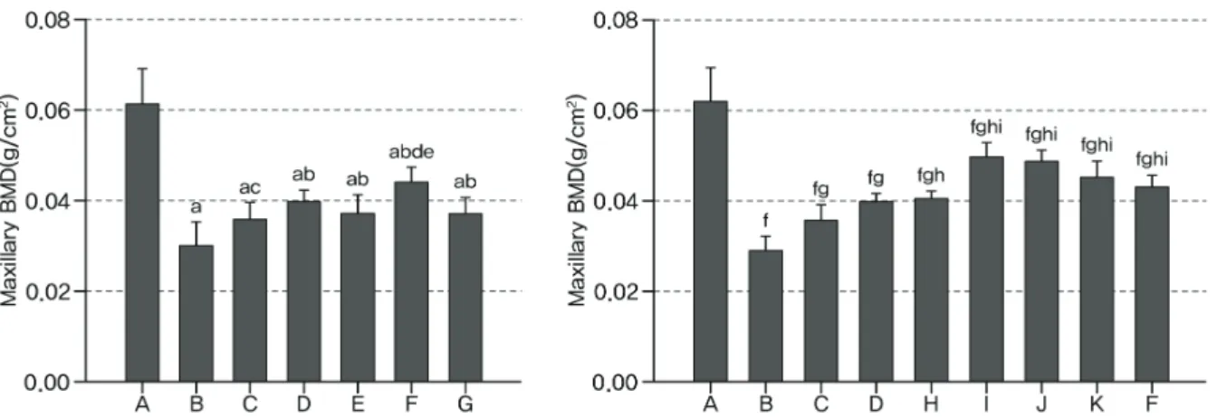 Figure  3.  Changes  on  the  maxillary  BMD  after  10  days  oral  treatment  of  single  or  mixed  formulas  of  Polycan  and  calcium  gluconate  in  EPD  rats