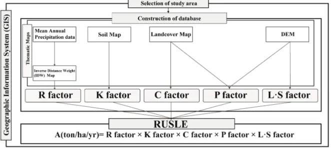 Fig. 2.  Flow chart of the study.