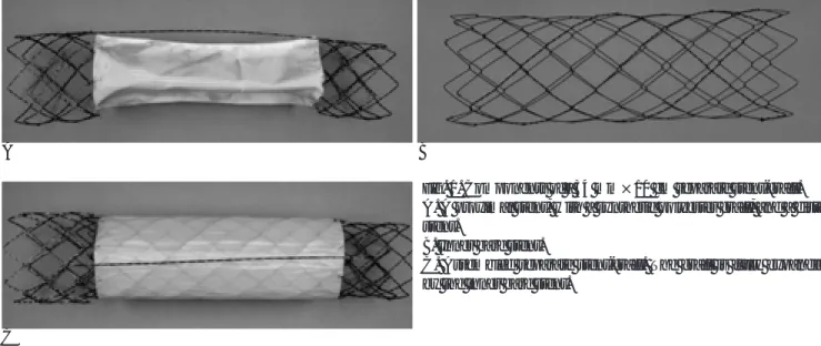 Fig. 1. Components of a 34 mm×10 cm separate stent-graft.