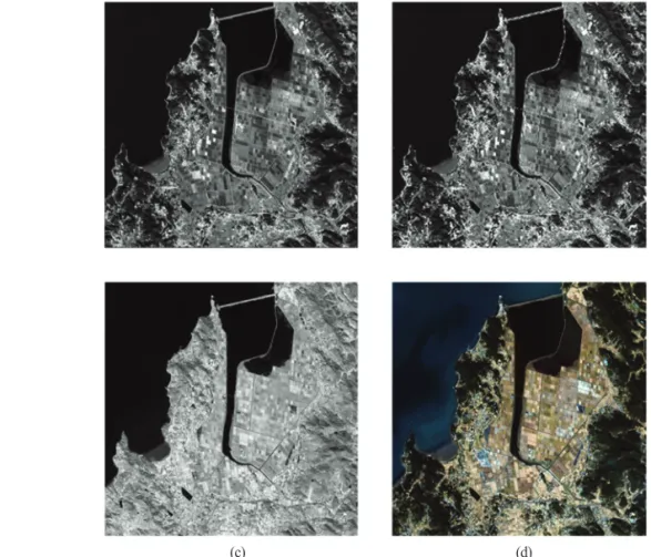 Fig. 1.  KOMPSAT 3A test images: (a) MIR OR (5.5 m), (b) MIR rd (33 m), (c) PAN (0.55 m), (d) MS (2.2 m).