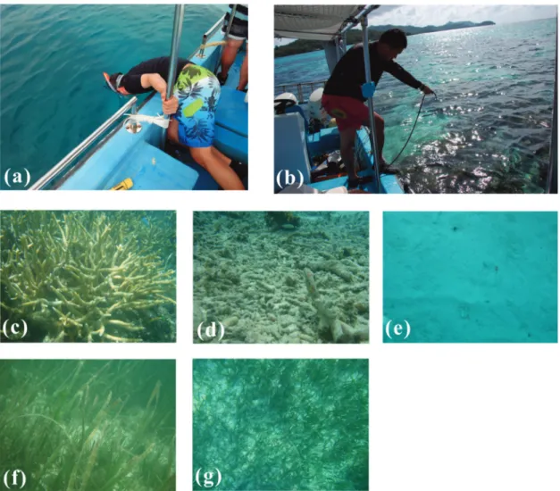 Fig. 2.  (a) Field observations of differing seabed types with snorkel and (b) in situ measurement of reflectance spectrum using FieldSpec, with representative images of each seabed type, (c) coral, (d) rubble, (e) sand, (f) large seagrass, and (g) short s