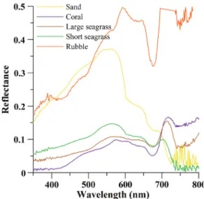 Fig. 4 shows the spectral features of each seabed type acquired using the FieldSpec instrument