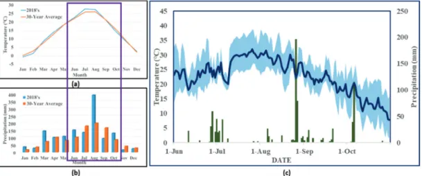 Fig. 2.  Variations in precipitation and temperature distribution during the growing season of soybeans.