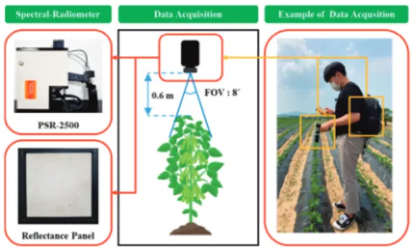 Fig. 4.  Equipment and method for measuring hyperspectral reflection characteristics of soybeans using a  PSR-2500 spectroradiometer.