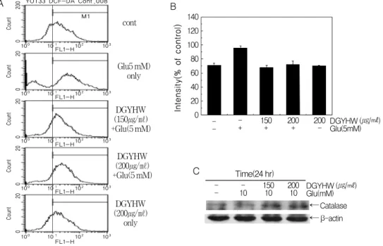 Figure  4.  Potective  effect  of  ROS  generation  in  glutamate-induced  VOT-33  cell  death