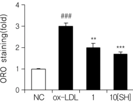 Fig.  7  Effect  of  SH  on  lipid  accumulation  in  oxLDL-induced  foam  cell. 