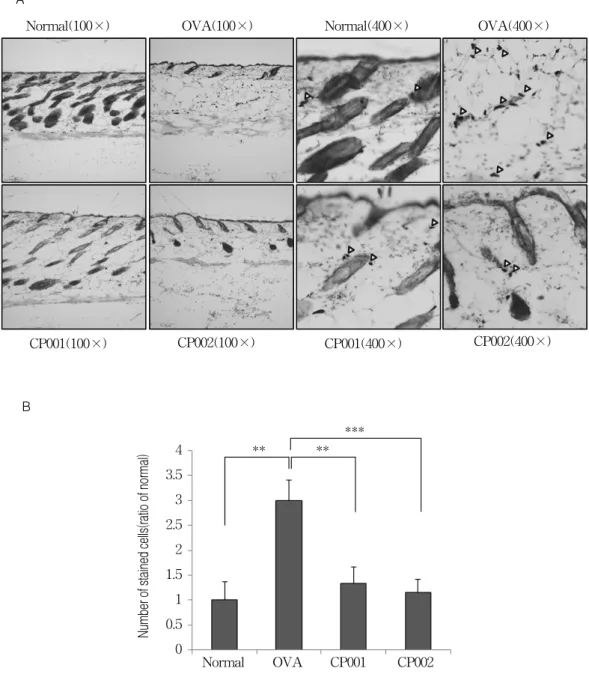 Figure  5.  Comparison  of  mast  cells  of  the  skin  from  toluidine  blue  stained  sites  in  Normal,  OVA,  CP001  and  CP002  group