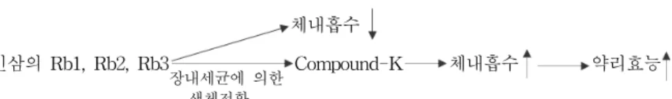 Fig.  6.  Increased  absorption  of  ginsenoside  by  biotranformation