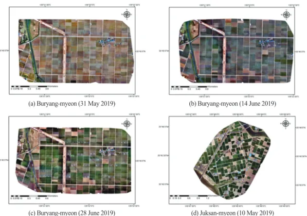 Fig. 6.  Panoramic view of farmland by cropping type according to the UAV image collection date.