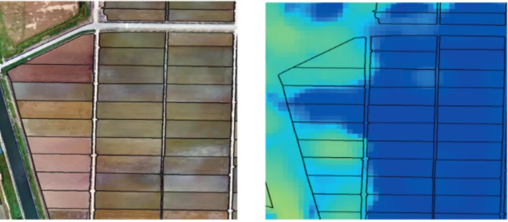 Fig. 10.  Time series radar backscattering coefficients of Sentinel-1A(upper) and Sentinel-1B(lower) of paddy rice fields in Gimje areas as a function of time.