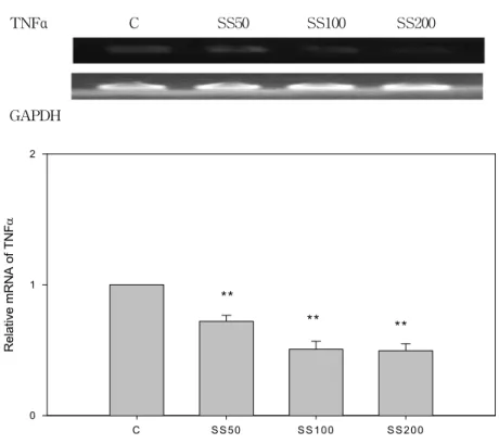 Fig.  3  Effects  of  SS  on  the  expression  of  iNOS  in  RANKL  stimulated  RAW  264.7  cells.