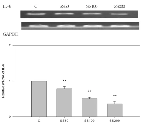 Fig.  4  Effects  of  SS  on  the  expression  of  IL-6  in  RANKL  stimulated  RAW  264.7  cells.