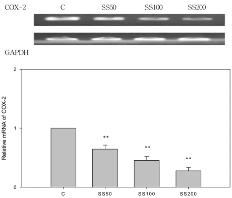 Fig.  5  Effects  of  SS  on  the  expression  of  COX-2  in  RANKL  stimulated  RAW  264.7  cells.
