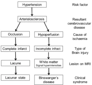Fig.  1.  Two  pathophysiological  pathways  of  ischaemic  brain  injury(adopted  from  ref