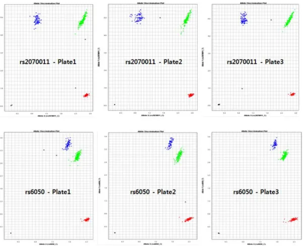 Fig.  2.  Result  of  Genotyping  in  rs2070011G/A  and  rs6050A/G