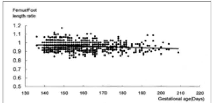 Fig. 4. Relationship between foot length and gestational age from 19-29 weeks’ gestation (r 2  = 0.87, p = .0001).