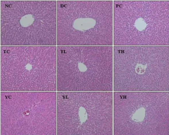 Fig. 4. Effect of Tricholoma mycelium and yeast fortified Germanium on histopathological changes of the pancreas in rats.