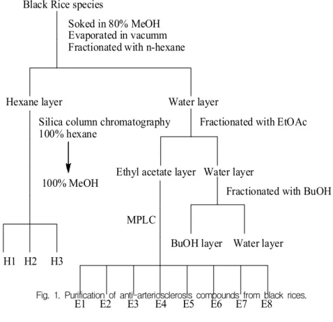 Fig.  1.  Purification  of  anti-arteriosclerosis  compounds  from  black  rices.