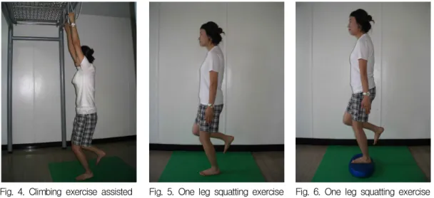 Fig.  4.  Climbing  exercise  assisted              of  hand  grip