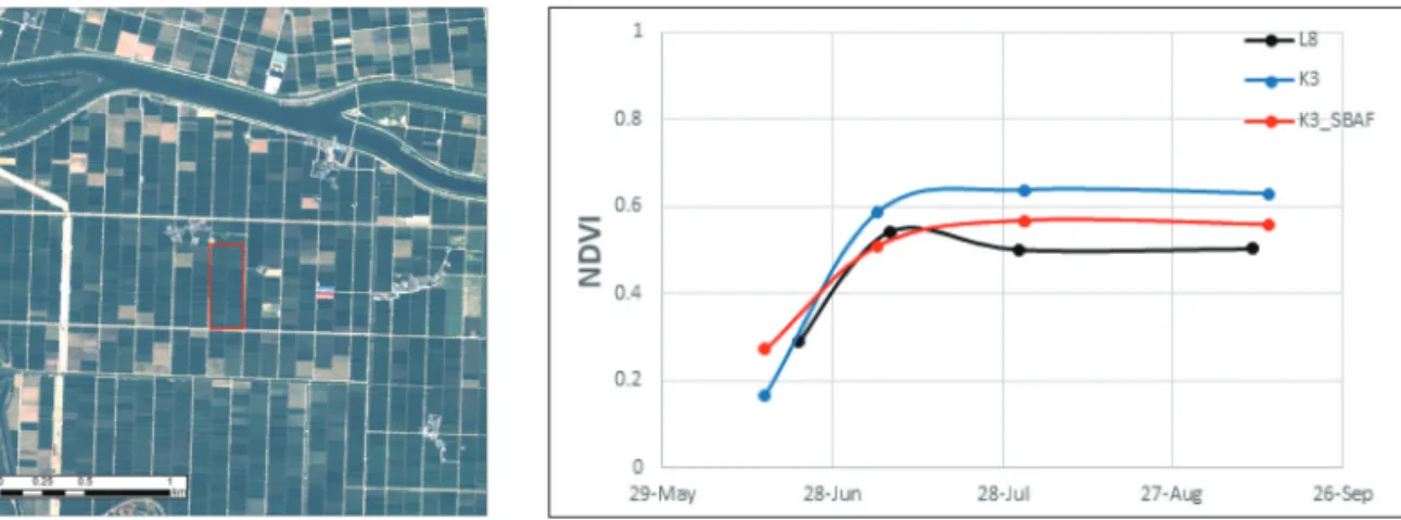 Table 6.  NDVI Comparison SBAF adjustment