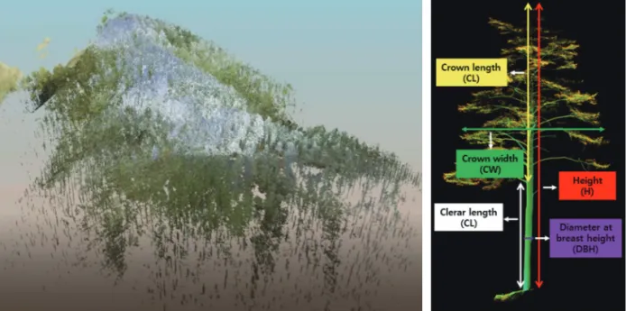 Fig. 3.  Analysis of tree characteristics obtained data by survey of expert and TLS.