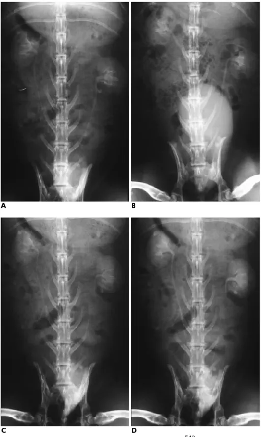 Fig. 1. Intravenous urography in a nor- nor-mal rabbit.