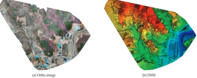 Fig. 4.  Ortho-image and DSM generated from normal drone mapping.