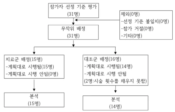 Fig. 2. Process of recruitment, randomization to treatment, and outcome assessment.