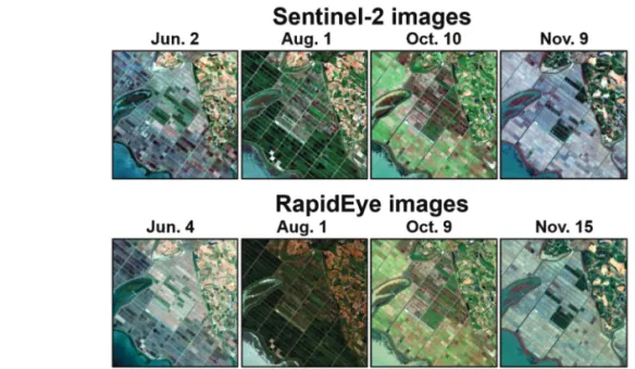 Table 2.  List of Sentinel-2 and RapidEye image pairs