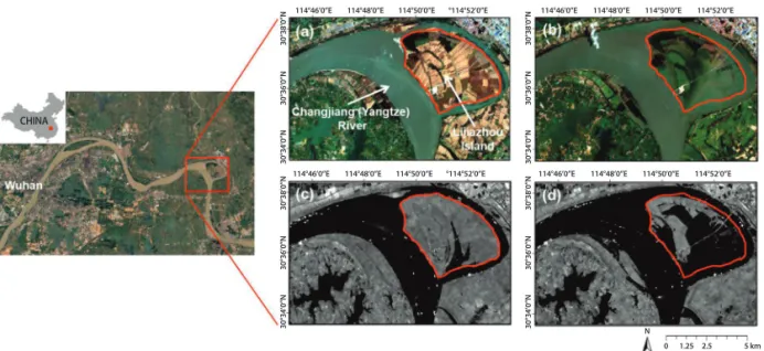 Table 1.  Monthly flood status in 2019 based on Landsat-8 and Sentinel-1 data