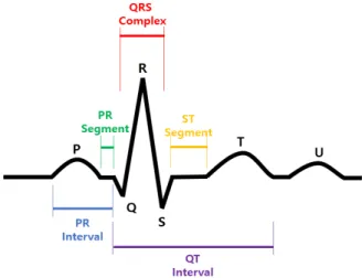 Fig.  1.  Main  Components  from  an  Electrocardiogram  showing  an  ideal  heartbeat