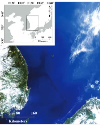 Fig. 1.  GOCI daily composite RGB image of the study area acquired on 13 August 2013.