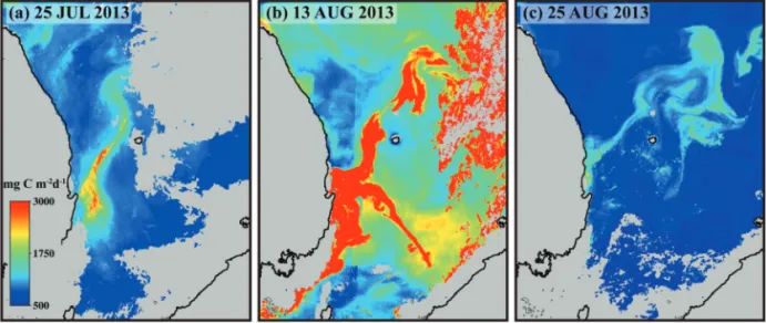 Fig. 2.  Maps of primary production generated in this study on (a) 25 July, (b) 13 August, and (c) 25 August 2013.