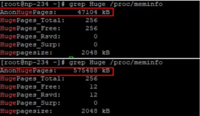 Fig.  5. NUMA  Environment  Verified  with  Linux  Command