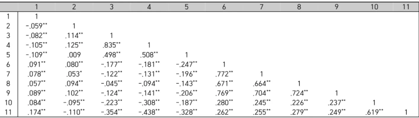 Fig.  2.  Measurement  model