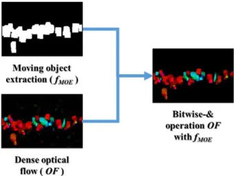 Fig.  5.  Process  of  extracting  optical  flow  features  only  for  objects  of  interest