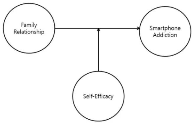 Fig.  1.  Study  Model