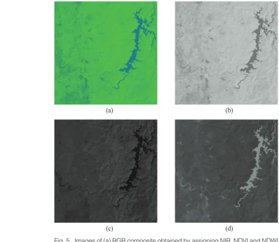Fig. 4 shows the result of image classification for Site B using the STC method and the proposed FWS method, respectively