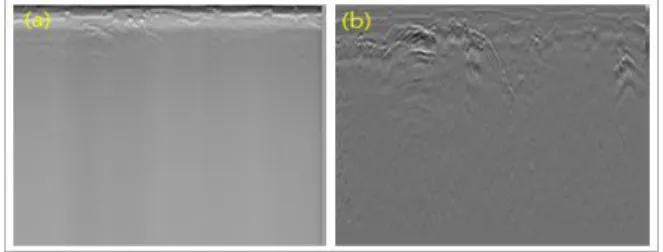 Fig.  1.  GPR  data  -  (a)  Raw  data,  (b)  Filtering  data