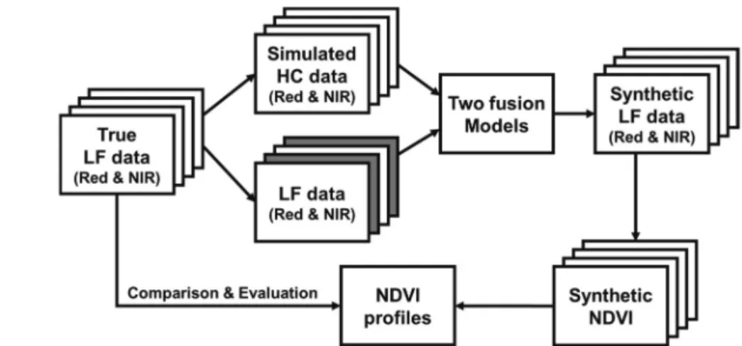 Fig. 5.  Flow chart of data processing for the evaluation of two spatio-temporal data fusion models for vegetation monitoring
