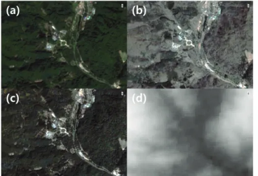 Fig. 2.  Used data in this study. (a) Sentinel-2 captured on May, (b) PlanetScope captured on April, (c) PlanetScope captured on September, (d) SRTM dem.